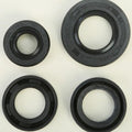 Vertex Oil Seal Set | 822162