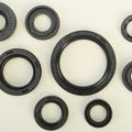 Vertex Oil Seal Set | 822167