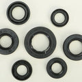 Vertex Oil Seal Set | 822289