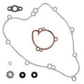 Vertex Water Pump Rebuild Kit | 821412