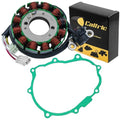 Stator and Gasket for Yamaha WR450F 2005 2006 / 5TJ-81410-10-00 5TJ-81410-31-00