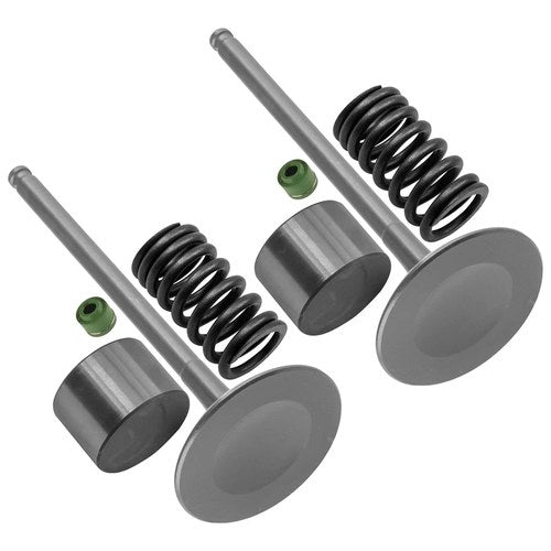 Caltric 12911-49H00 12921-02H01 09289-04002 Intake Valve Kit For Suzuki