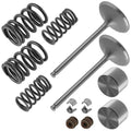 Intake Valve Kit for Suzuki DRZ400S 2000 2001 2002 2003 2004-2009 2011-2019