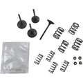 Wiseco Valve Kit | SVKB4409