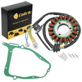 Stator & Gasket for Suzuki GZ250 1999 2000 2001 2002 2003 2004 2005 2006-2010
