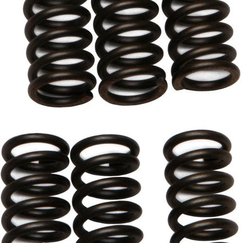 Ebc Csk Clutch Spring Kit CSK2