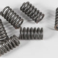 Ebc Csk Clutch Spring Kit CSK31