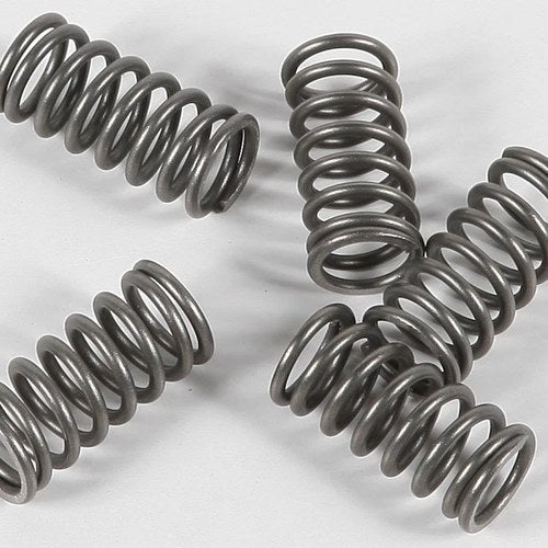 Ebc Csk Clutch Spring Kit CSK77