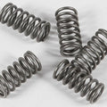 Ebc Csk Clutch Spring Kit CSK77