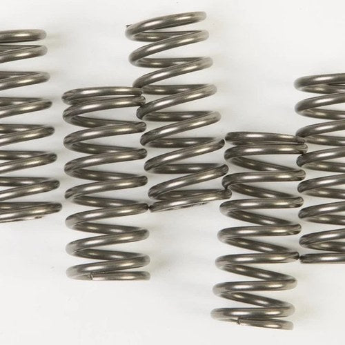 Ebc Csk Clutch Spring Kit CSK188