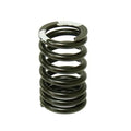 Psychic Exhaust Valve Spring for Yamaha TW200/TT-R230/XT225/XT250/TT-R225
