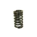 Psychic Exhaust/Intake Valve Spring for Honda CRF150F 2006-2009/2012-2017