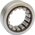Eastern Pinion Shaft Bearing Natural #A-24623-99B Harley Davidson