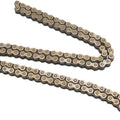 Did Cam Chain #25H104LE for Yamaha BW200/BW200E Big Wheel 1985-1988