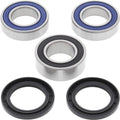 All Balls Wheel Bearing & Seal Kit Rear #25-1556 Sherco
