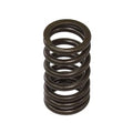 Psychic Exhaust/Intake Valve Spring #XU-09557S KTM 350 SX-F/350 XC-F