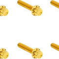 Arlen Ness Titanium 12-Point Clutch Cover Hardware Kit Gold #300-702