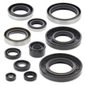 Moose Engine Oil Seal Kit fits Kawasaki KX250 1993-2003