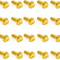 Arlen Ness Titanium Rocker Box Bolt Kit Gold #300-946 Harley Davidson