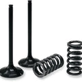 ProX Intake Valve and Spring Kit Steel #28.SIS6329-2 KTM 250 SX-F 2008-2013