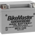BikeMaster Agm Platinum II Battery fits Honda PS250 Big Ruckus 2005-2006