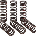 Pro Circuit High Performance Clutch Springs #CSH21450-CS fits Honda CRF450R 2021