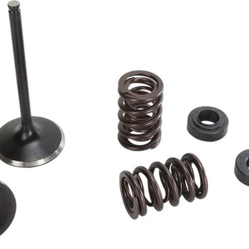Moose Intake Valve/Spring Kit Steel Yamaha YZ450F/YZ450FX
