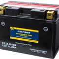 Wps Fire Power CTZ14S-BS Maintenance Free Battery #CTZ14S-BS