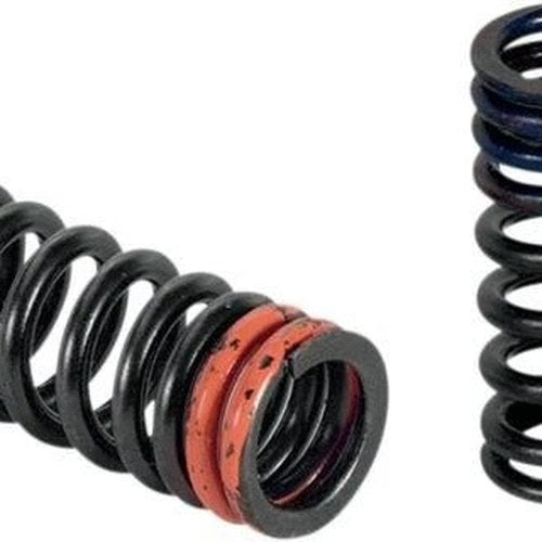 Xceldyne Intake Valve Springs 2-Pack fits Honda CRF250 2010-2014