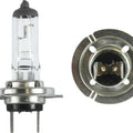 Bulb H7 12v 100w