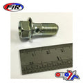 Banjo Bolt 10x1.00 Plated