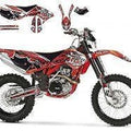 Beta RR 350-480 2010-2012 Tribal Skull 2, Decal Kit