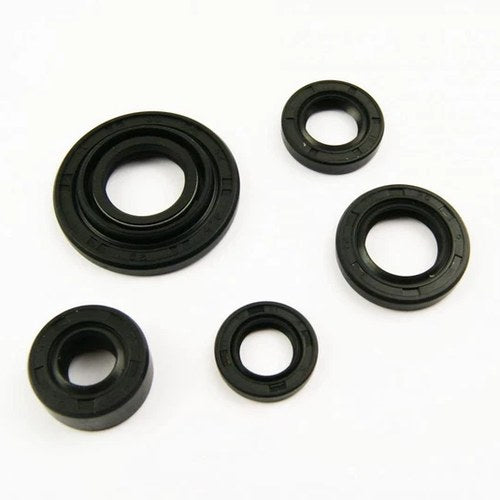 Oil Seal Set Pit Bike, 17x29x5, 13.7x24x5, 10x24x5, 18.9x30x5, 30x42x4.5