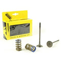 Prox Exhaust Valve+SPRING Kit KTM 250 SX-F 13-15, Husqvarna FC250 14-15