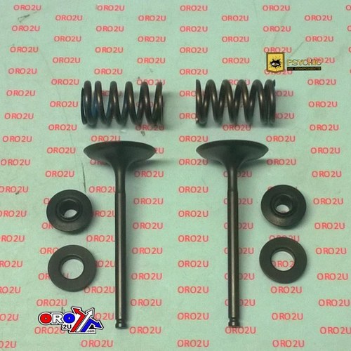 Psychic Inlet Valve+SPRING Kit KTM 350 XCF/SX-F 13-16, Husqvarna FC350 14-19