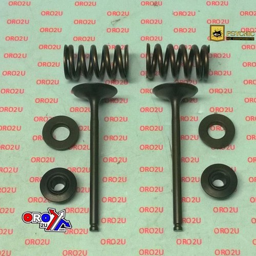 Psychic Exhaust Valve+SPRING Kit KTM 350 XCF/SX-F 13-19, Husqvarna FC350 14-19