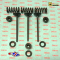 Inlet Valve+SPRING Kit Gas EC250F 2010-2015, EC300F 2013-2015