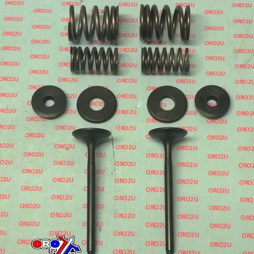 Psychic Exhaust Valve Kit Yamaha TT-R225,99-04, TT-R230 05-16, XT225 92-07