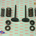 Psychic Inlet Valve+SPRING Kit Honda CRF450X 2005-2020