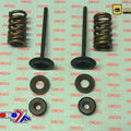 Psychic Exhaust Valve+SPRING Kit Honda CRF450R 2007-2008