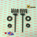 Psychic Exhaust Valve+SPRING Kit KTM 250 SX-F 2008-2012, 250 EXC-F 2007-2013