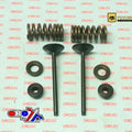 Psychic Exhaust Valve+SPRING Kit Honda CRF250R 2004-2007, CRF250X 2004-2016