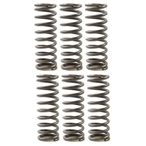 Ebc Clutch Spring Set Suzuki RM250 2006-2009