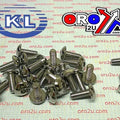 Chrome Allen Head Screws 6x16 (PACK 25)