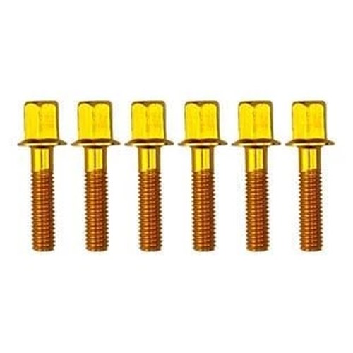 M6x25 Anodized Gold Alloy Bolt