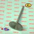 Kibblewhite White Diamond Intake Valve Honda CRF450R/RX 2017-2023