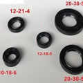 Oil Seal Engine Set Yamaha YBR125