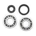 Hot Rods Crankshaft Bearing & Seal Kit Yamaha YZ250 2001-2026, YZ250X 2016-2026