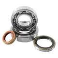 Hot Rods Crankshaft Bearing & Seal Kit Gas EX250 2022-2025, EX300 2021-2025