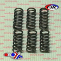 Clutch Spring HD SET/6 CSK02 JR50 All, XV/XVS 125 97-04, RD250 76-82